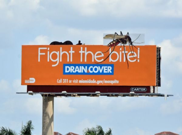 Mosquito Control_5480.jpg